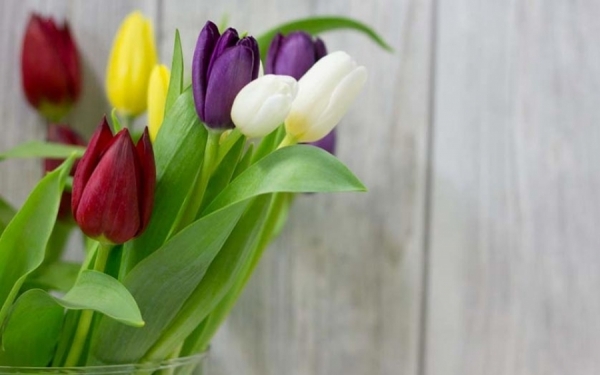 «Ο Άγιος Λουκάς ο Ιατρός» ενημερώνει και ευχαριστεί...