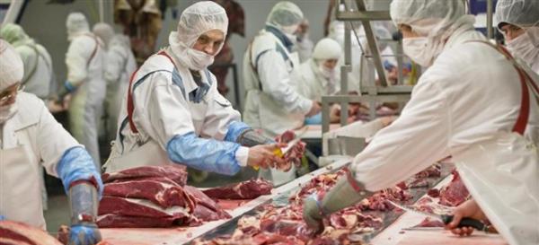 Αυτές είναι οι 23 εταιρείες που πωλούσαν κρέας με DNA αλόγου
