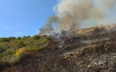 Κατασβέστηκε η πυρκαγιά στο Μαρκόπουλο (εικόνες)