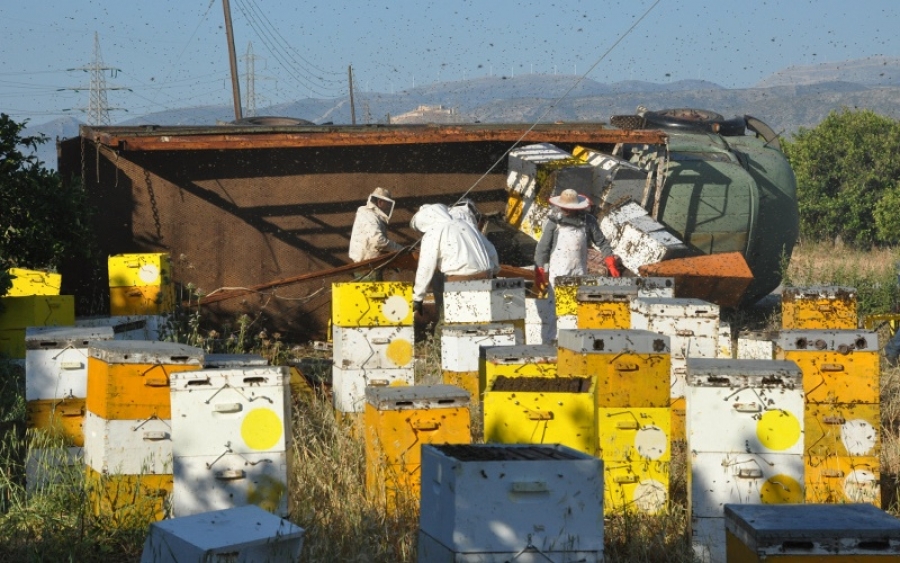 «Πλημμύρισε» μέλισσες η επαρχιακή οδός Ναυπλίου-Μυκηνών: Ανετράπη φορτηγό με κυψέλες (εικόνες)