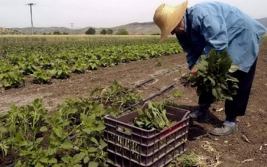 Ε.Α.Σ.: Επιστροφή Αγροτικών Επιδοτήσεων μετά την «μείωση»