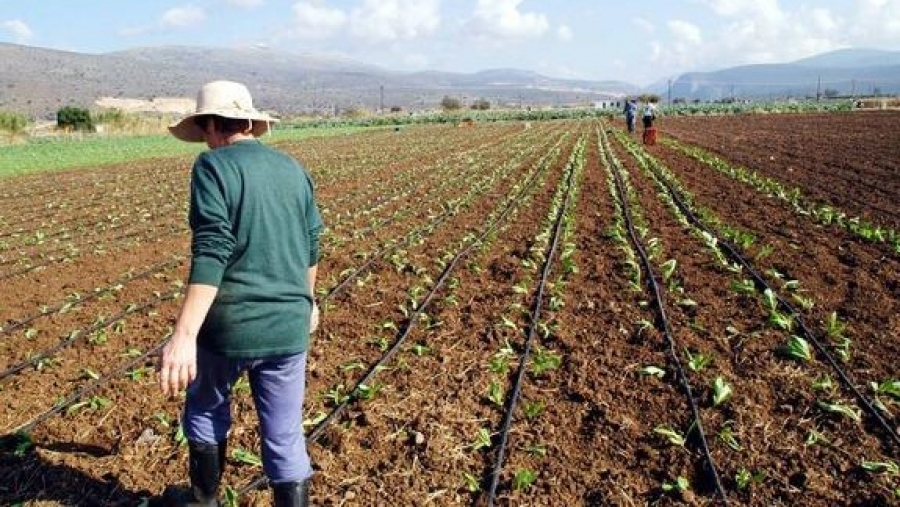 Ε.Α.Σ. :  Δήλωση Αγροτικών Επιδοτήσεων και  Μητρώο  Αγροτών