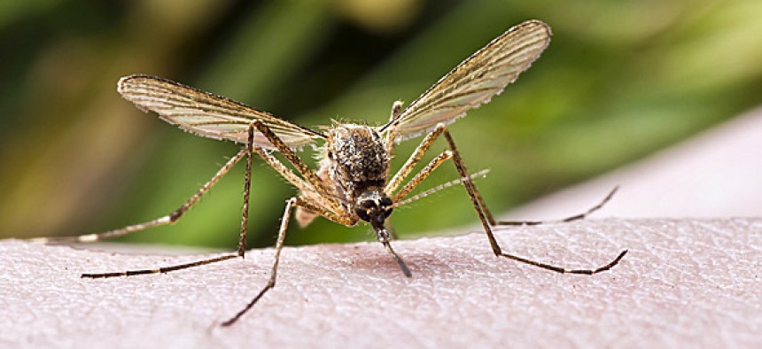 Πρόγραμμα καταπολέμησης κουνουπιών στις Περιφερειακές Ενότητες Κεφαλληνίας και Ιθάκης 3ος κύκλος