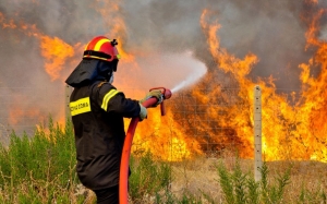 Προσταυτεύουμε την Κεφαλονιά από τις δασικές Πυρκαγιές - Βασικές συμβουλές