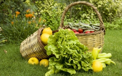 Συναδελφική Κομπανία : Διατίθονται φρούτα και λαχανικά από αγροκτήματα σε Φαρακλάτα και Ραζάτα
