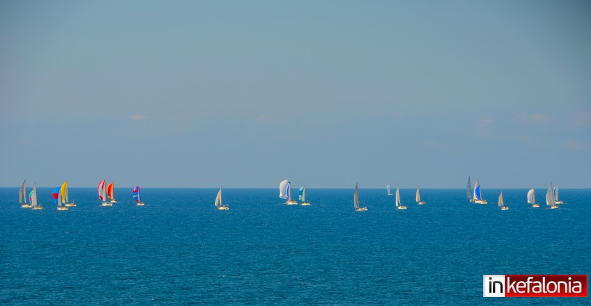 DSC 0051