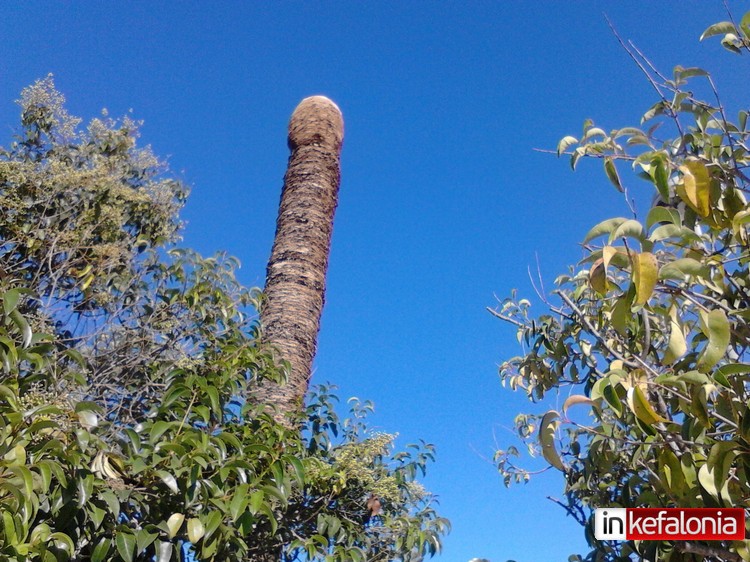 IMG 20140918 102837