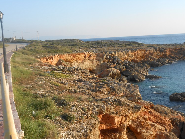 DSCN04801