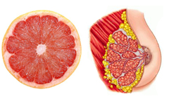 grapefruit