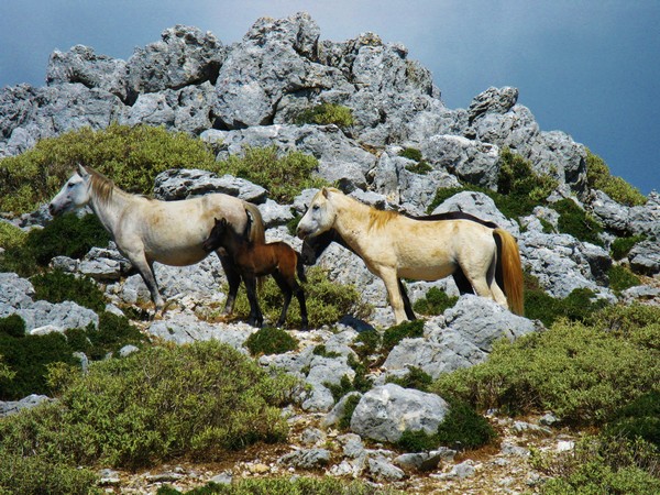 denia photos 045
