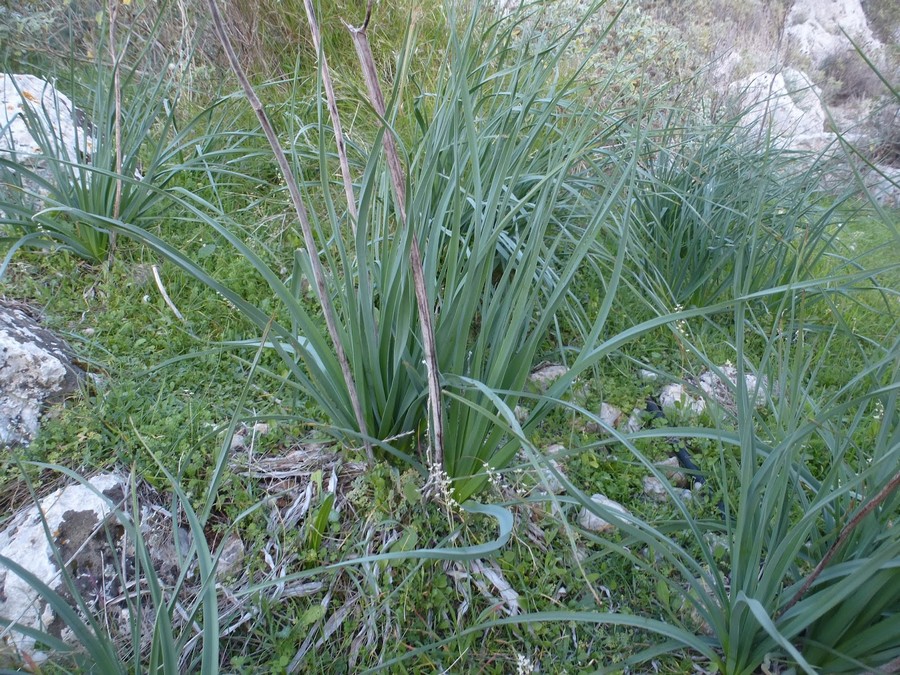 P1090205
