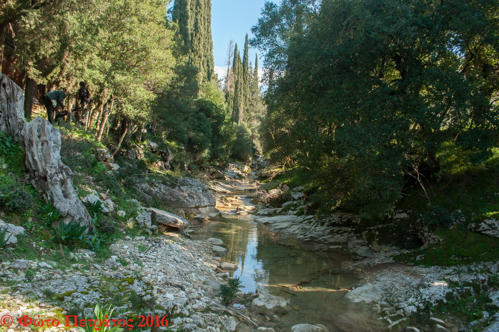 DSC 0439