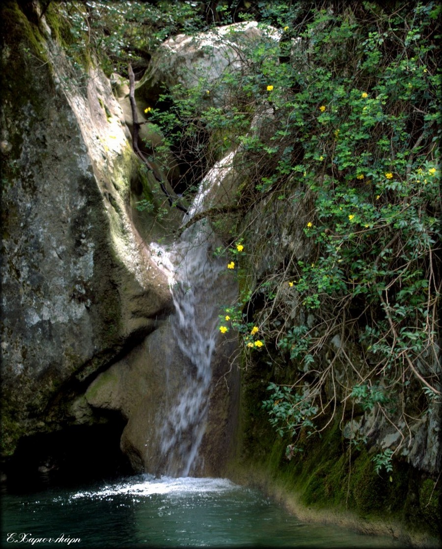  DSC0872-001L