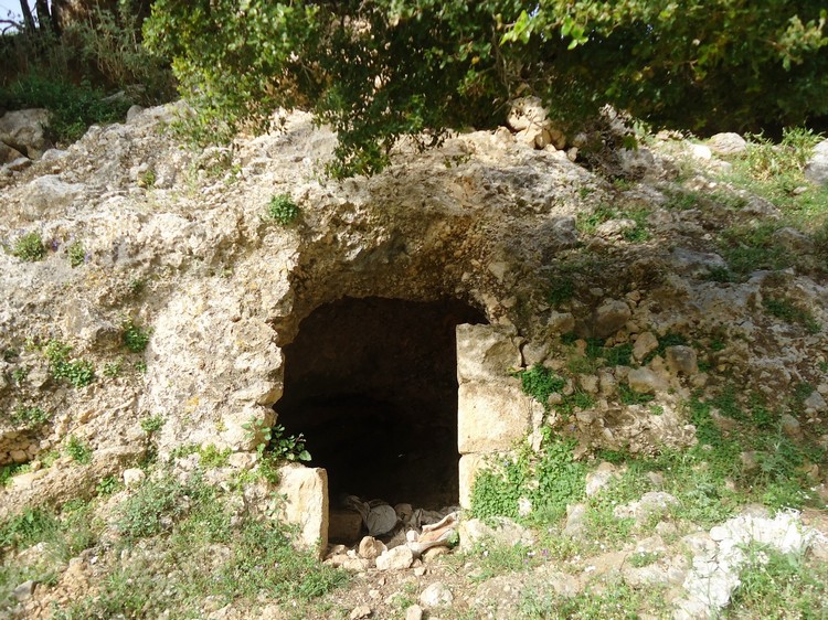 DSC00011