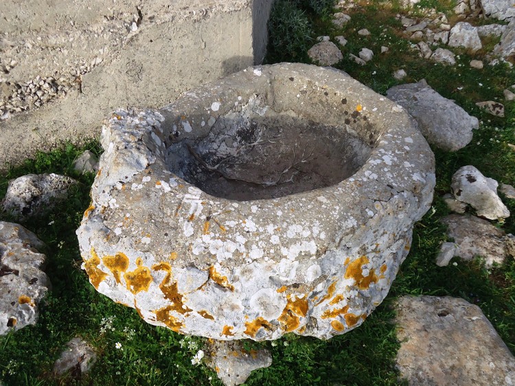 DSC00022