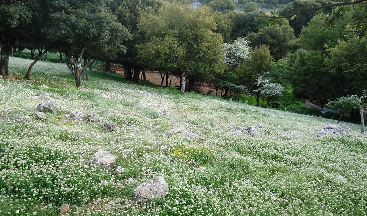DSC00038