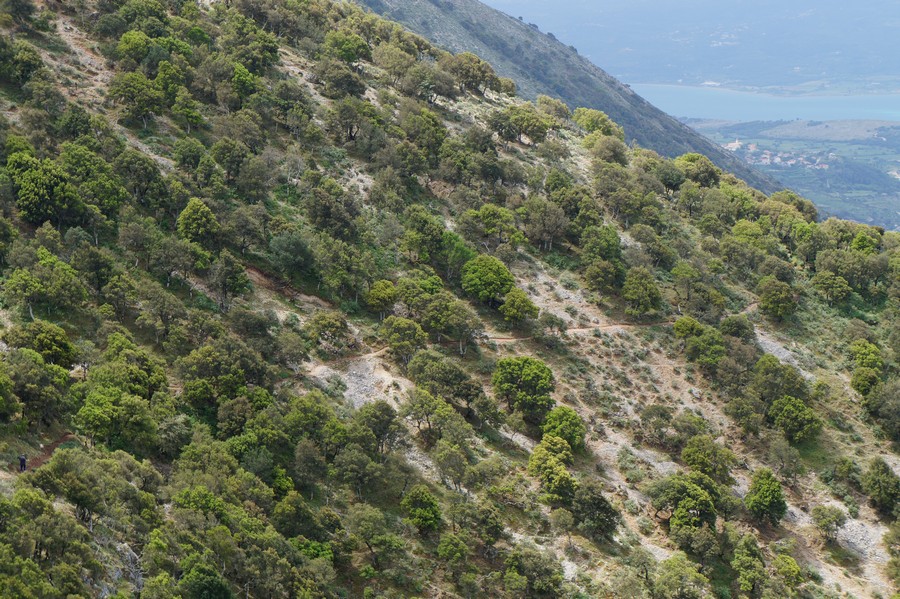 η διαδρομή από μακρία