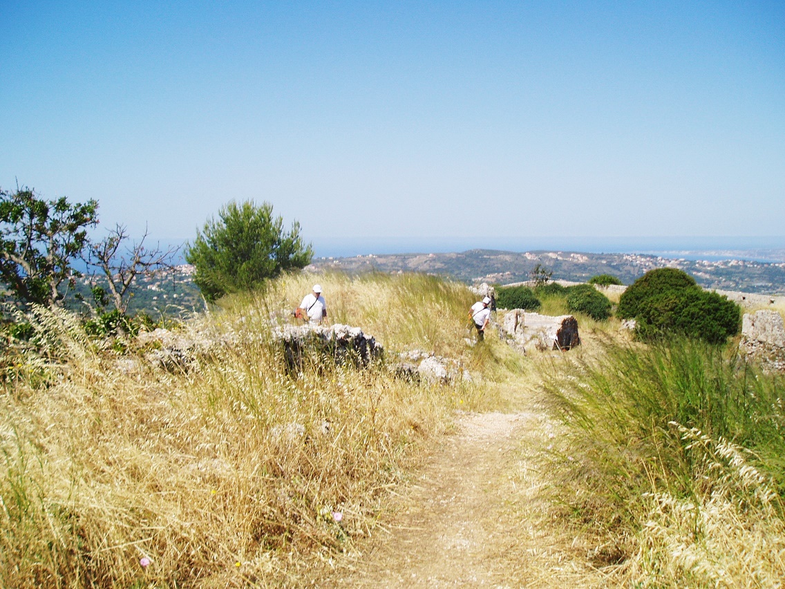 Mediterranee