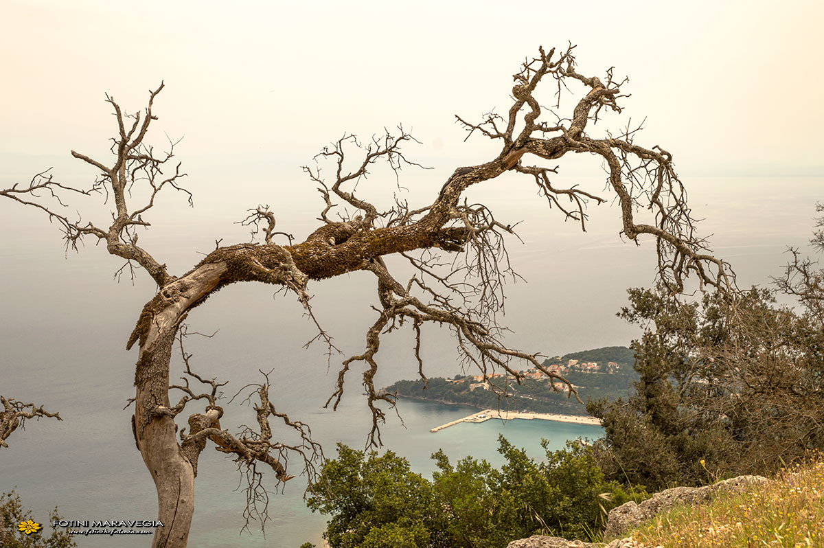 kefalonia-poros07