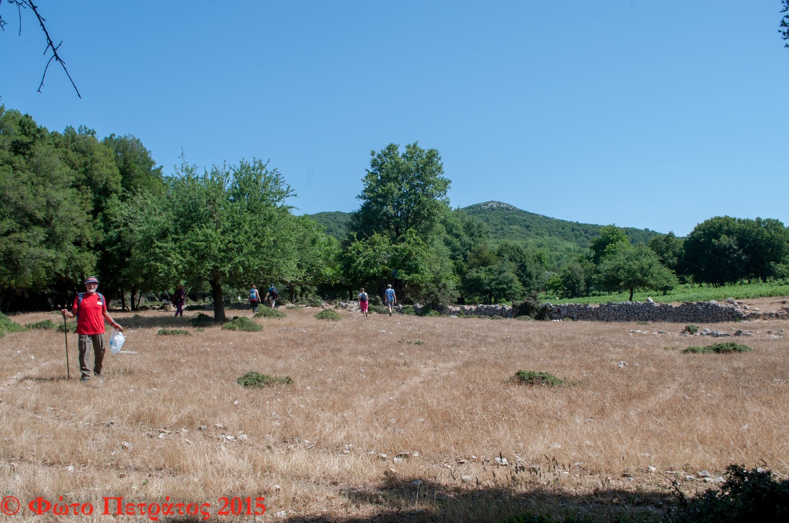DSC 0193-2