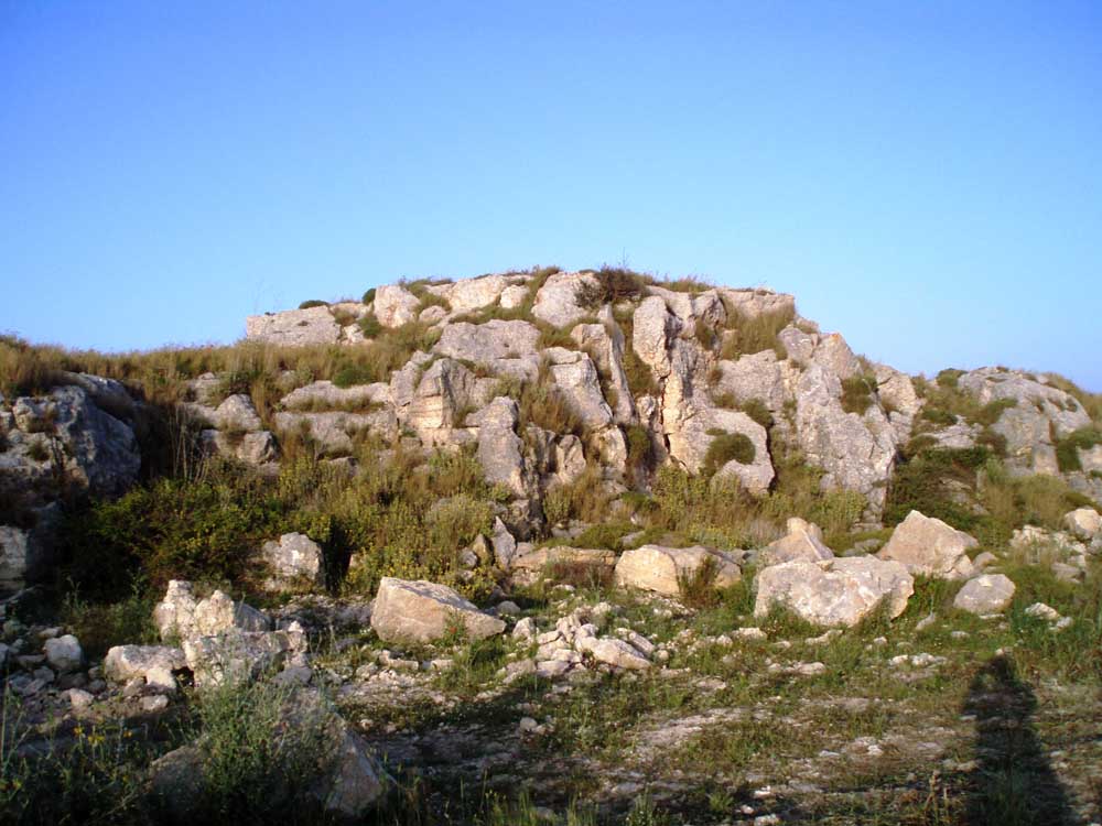 P1010014