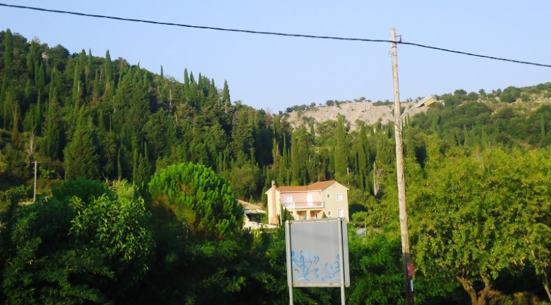 DSC00383