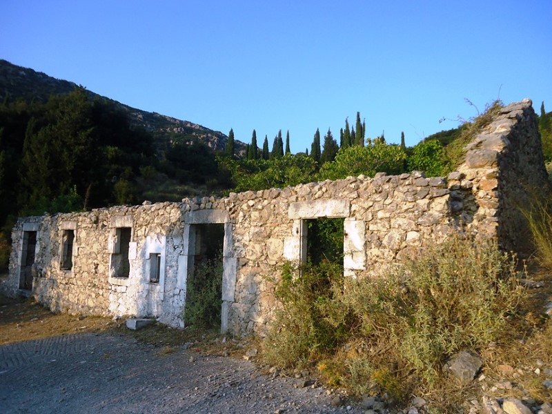 DSC00391