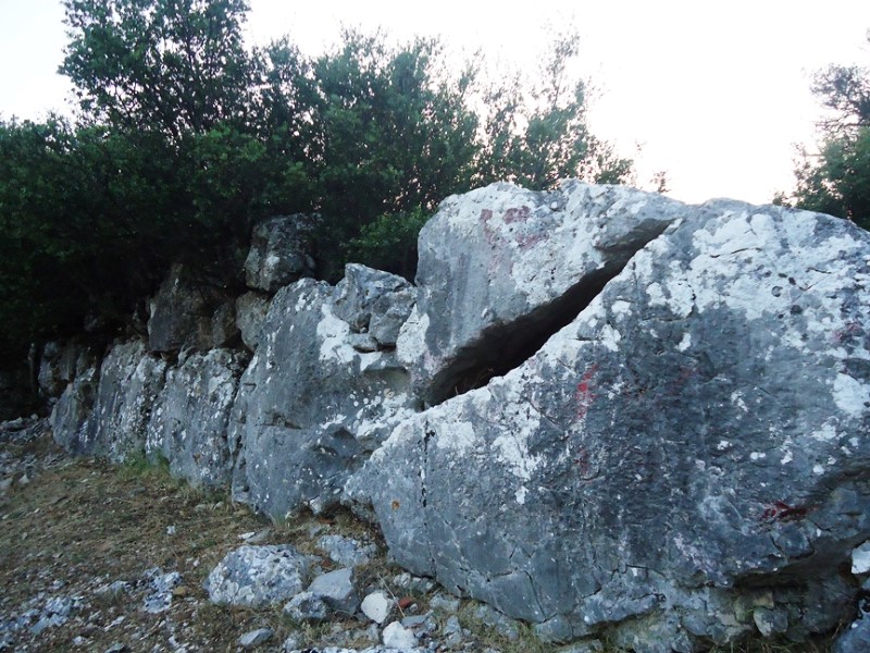 DSC00431