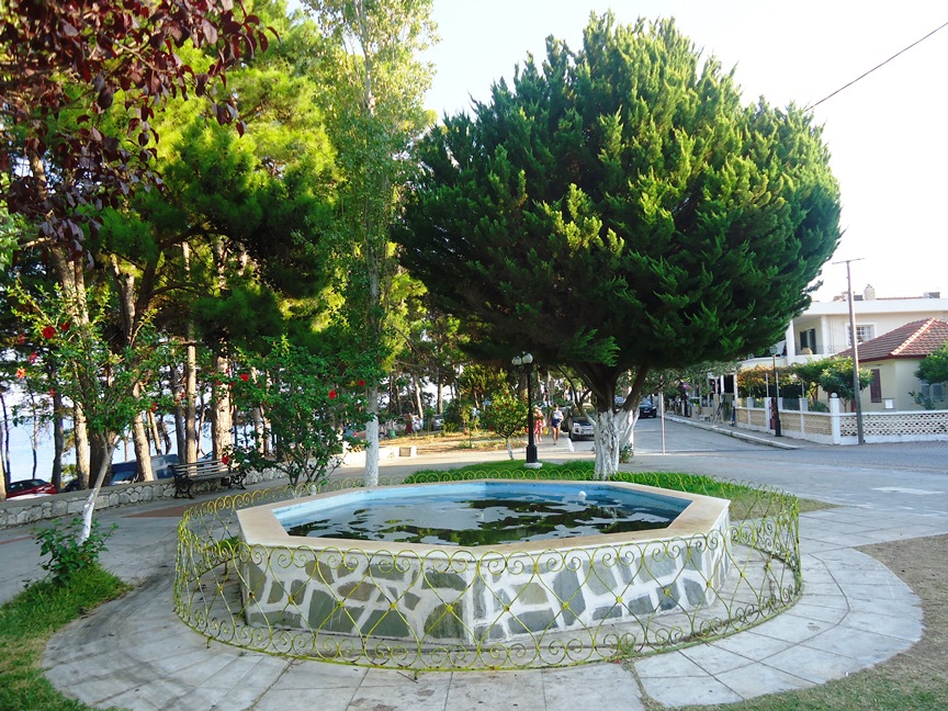 DSC00558