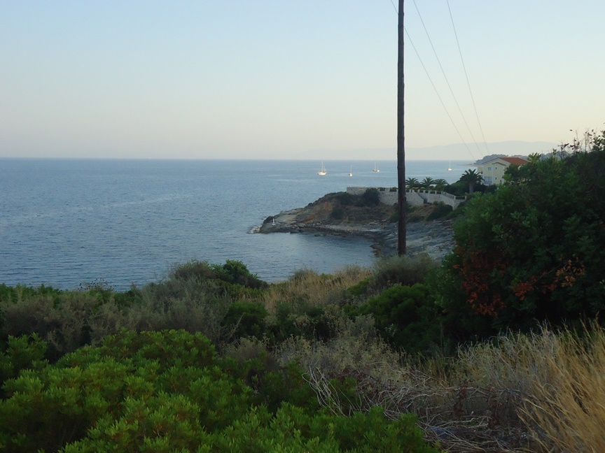 DSC00565