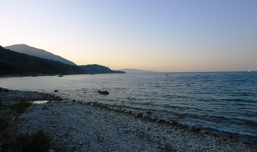DSC00584