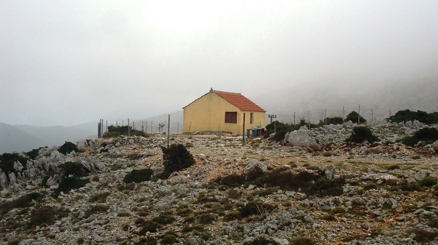 DSC00481