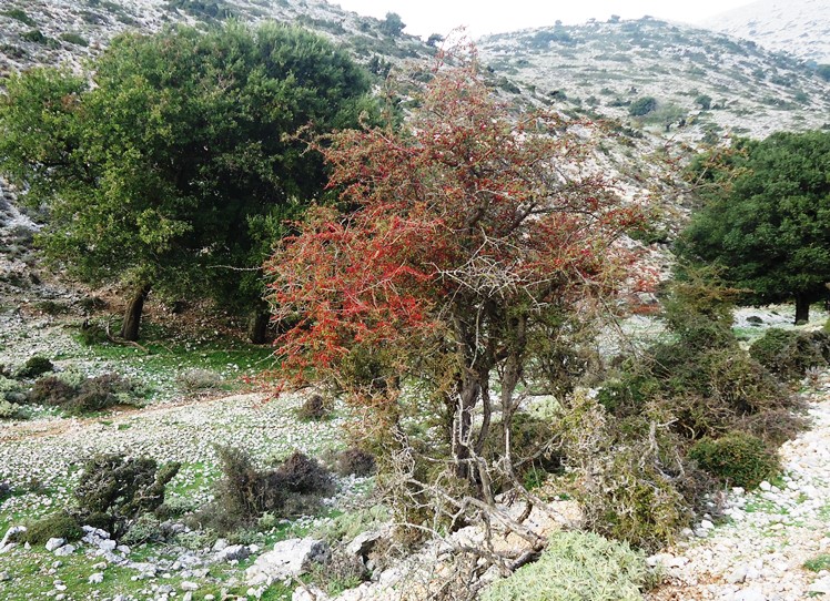 DSC00507