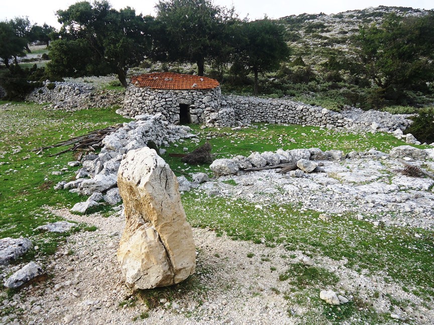 DSC00509