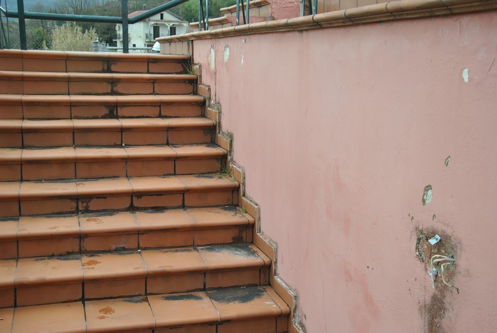 DSC 0015