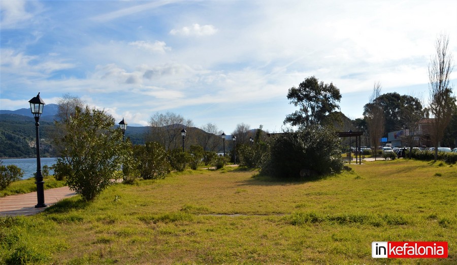 DSC 0021