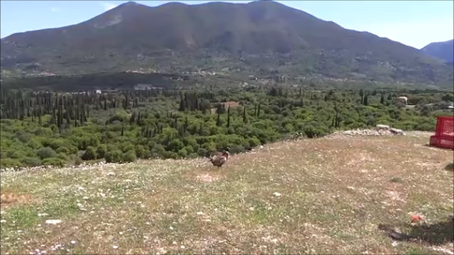 Στιγμιότυπο 11 21 4 2017 9 32 μμ