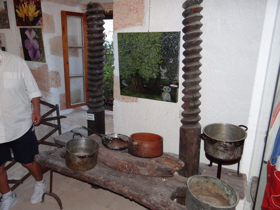 IMG 4848