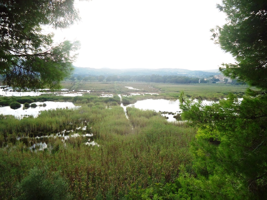 DSC00400
