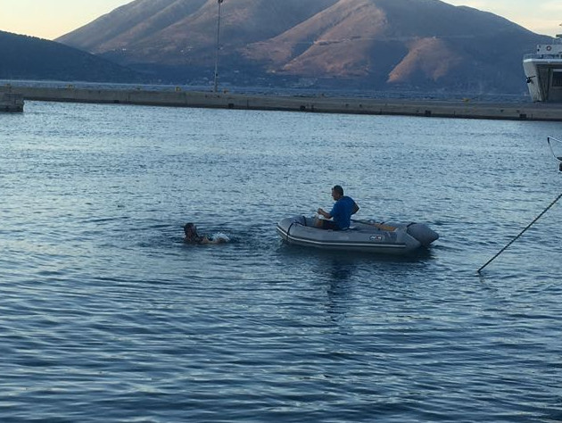 male sea turtle rescued in Sami port