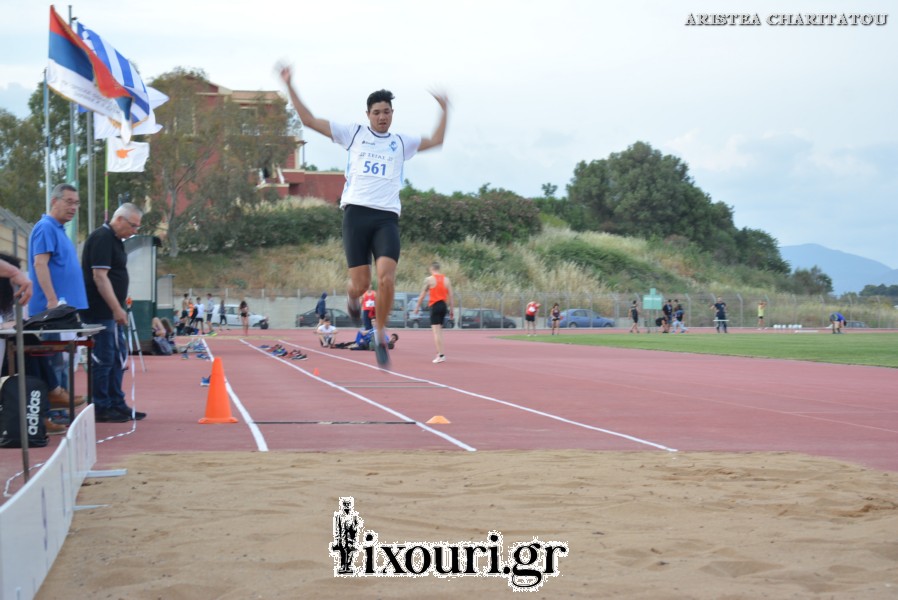 vergoteia 20181038