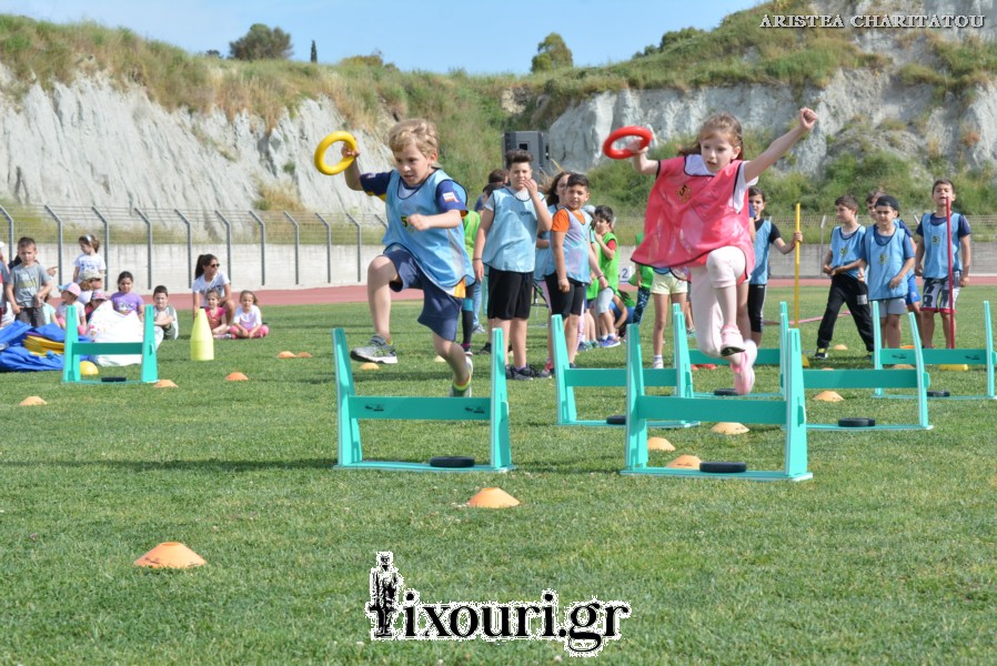 vergoteia 2018118