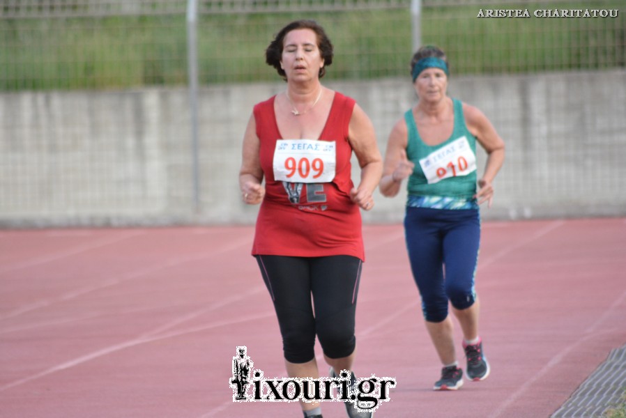 vergoteia 20181445