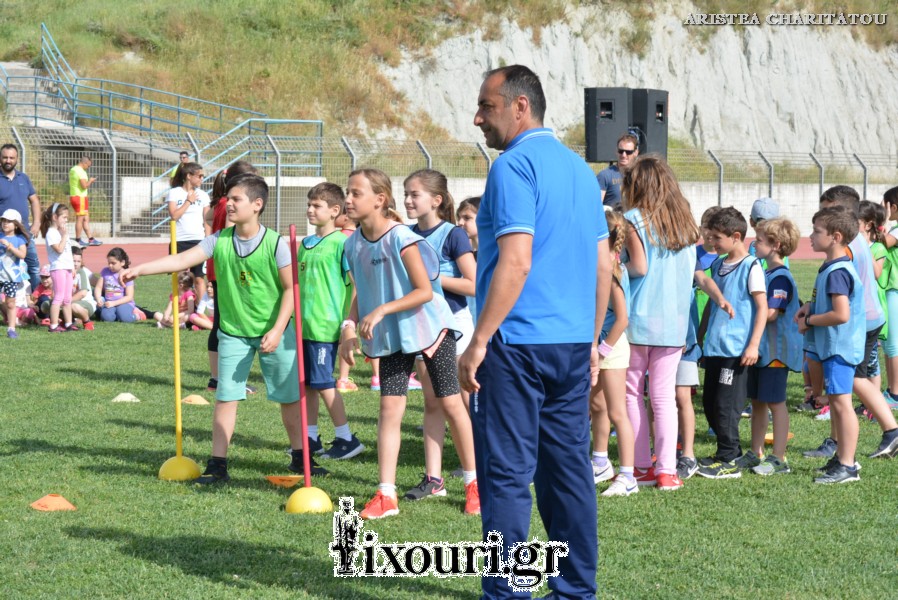 vergoteia 2018145