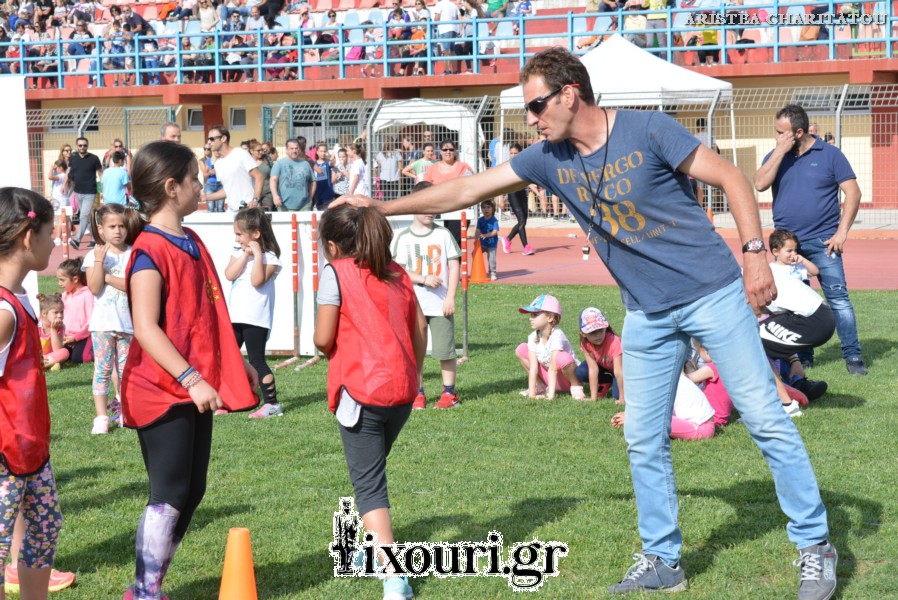 vergoteia 2018166