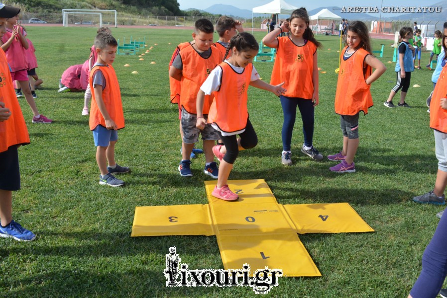 vergoteia 2018181