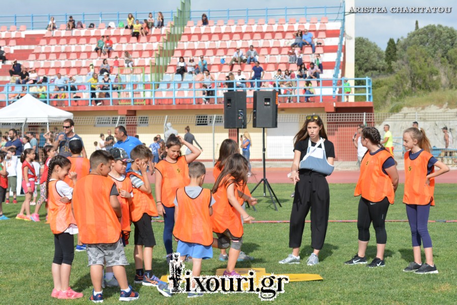 vergoteia 2018196
