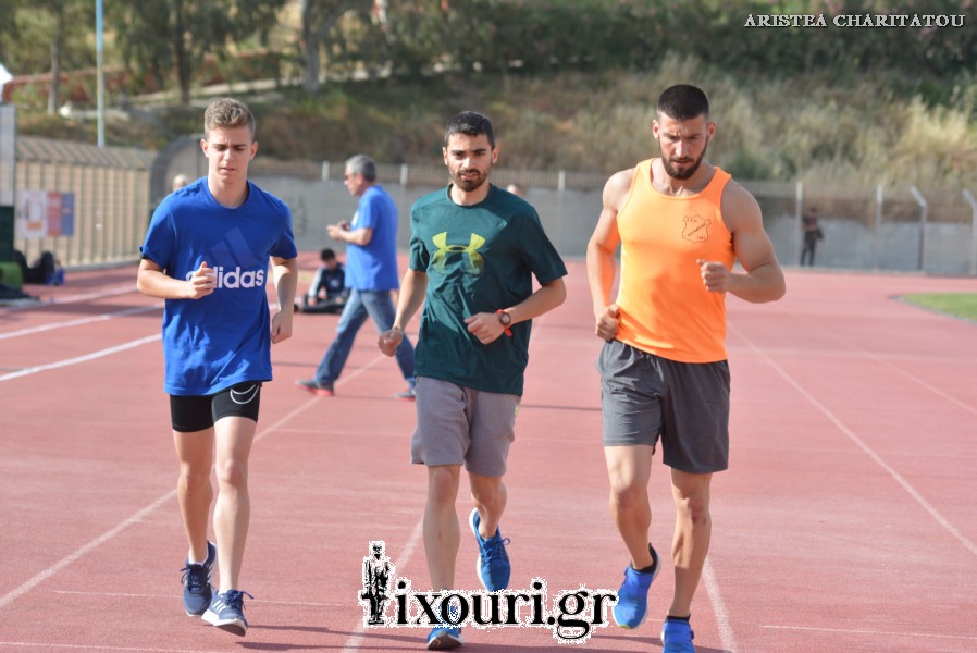 vergoteia 2018234