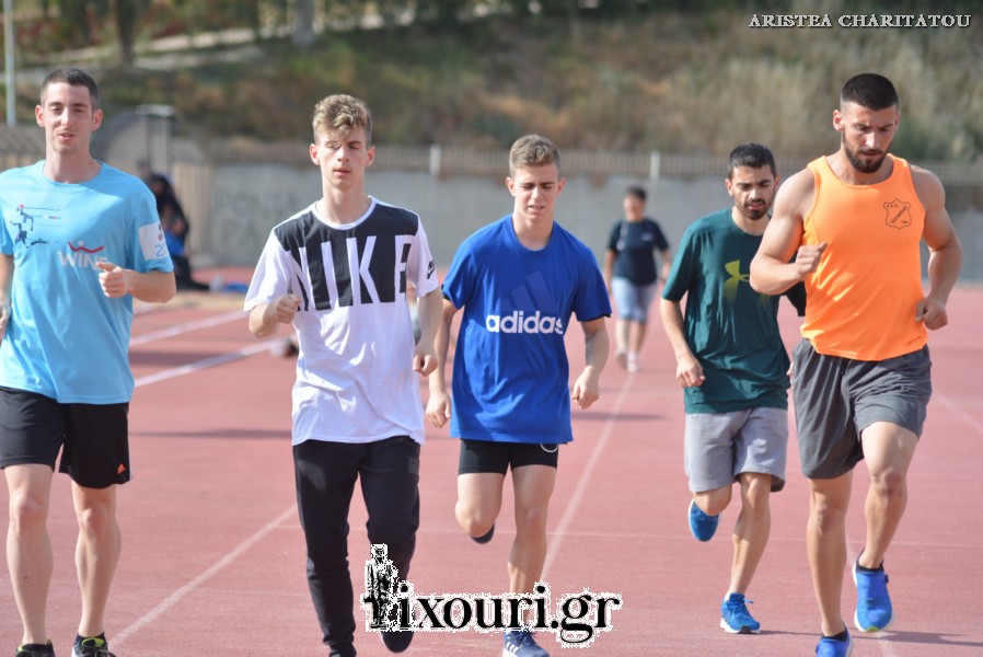 vergoteia 2018248