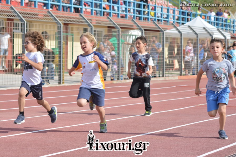 vergoteia 2018278